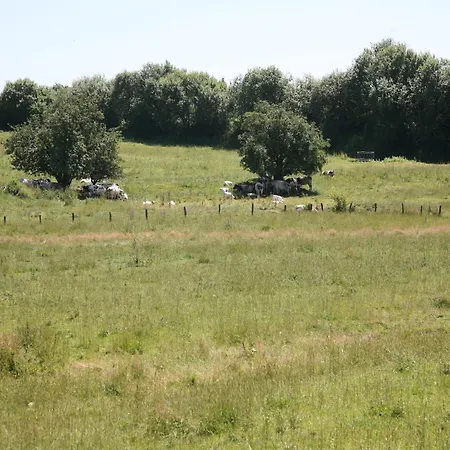 Charming In Noville *